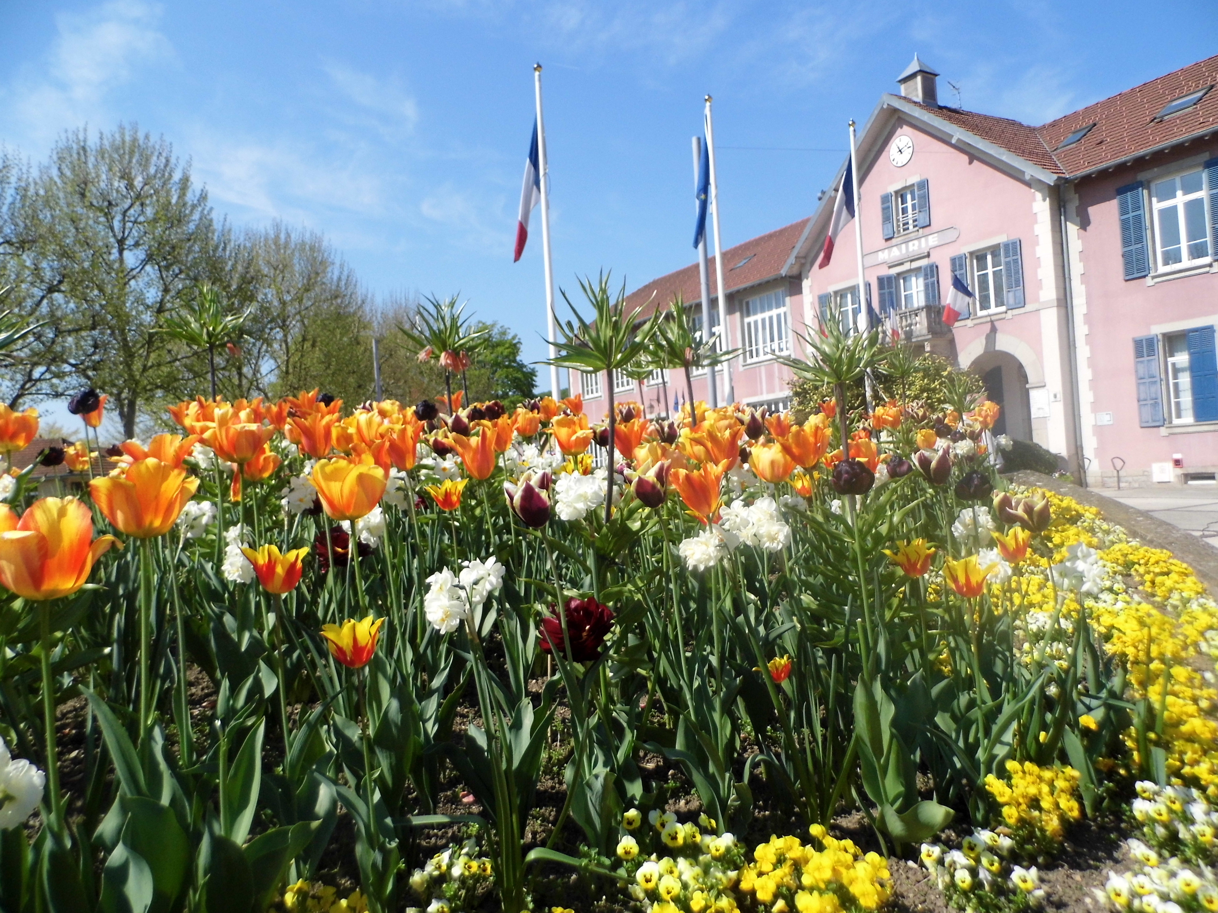 Commerçants et Artisans